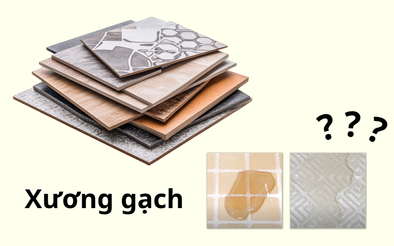 80% Chủ nhà chưa phân biệt được các loại xương gạch ốp lát 1 13 2