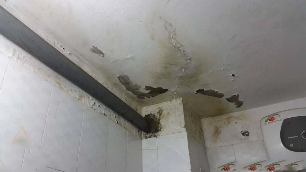 Tường rêu mốc ảnh hưởng đến thẩm mỹ, sức khoẻ, gián tiếp gây nứt, thấm nước trên tường