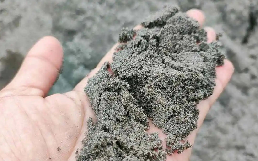 Cát đen sấy khô là gì? Cát đen khác gì cát thạch anh sấy khô 1 cát đen sấy khô làm gì