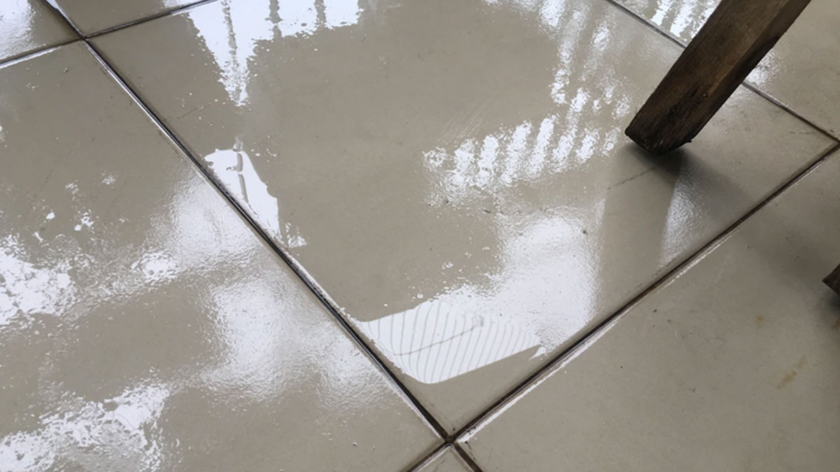 Mùa nồm là gì? Đau đầu vì tác hại của nồm ẩm với nhà ở 2 đặc điểm của mùa nồm là gì