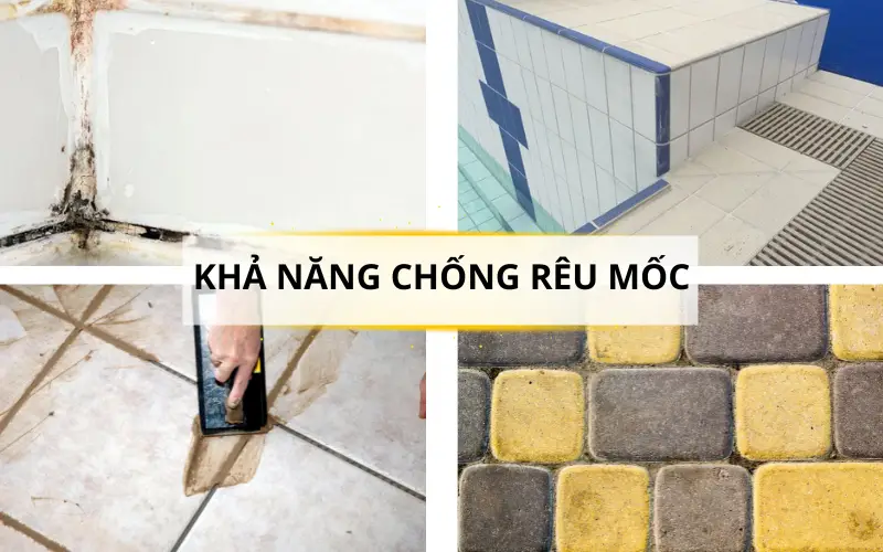 Bảo vệ ron gạch bằng keo chà ron chống rêu mốc 