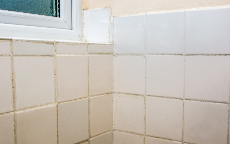 Ron gạch mốc đen nếu không dùng keo chà ron chống thấm nhà vệ sinh? 4 keo cha ron chong tham nha ve sinh 1