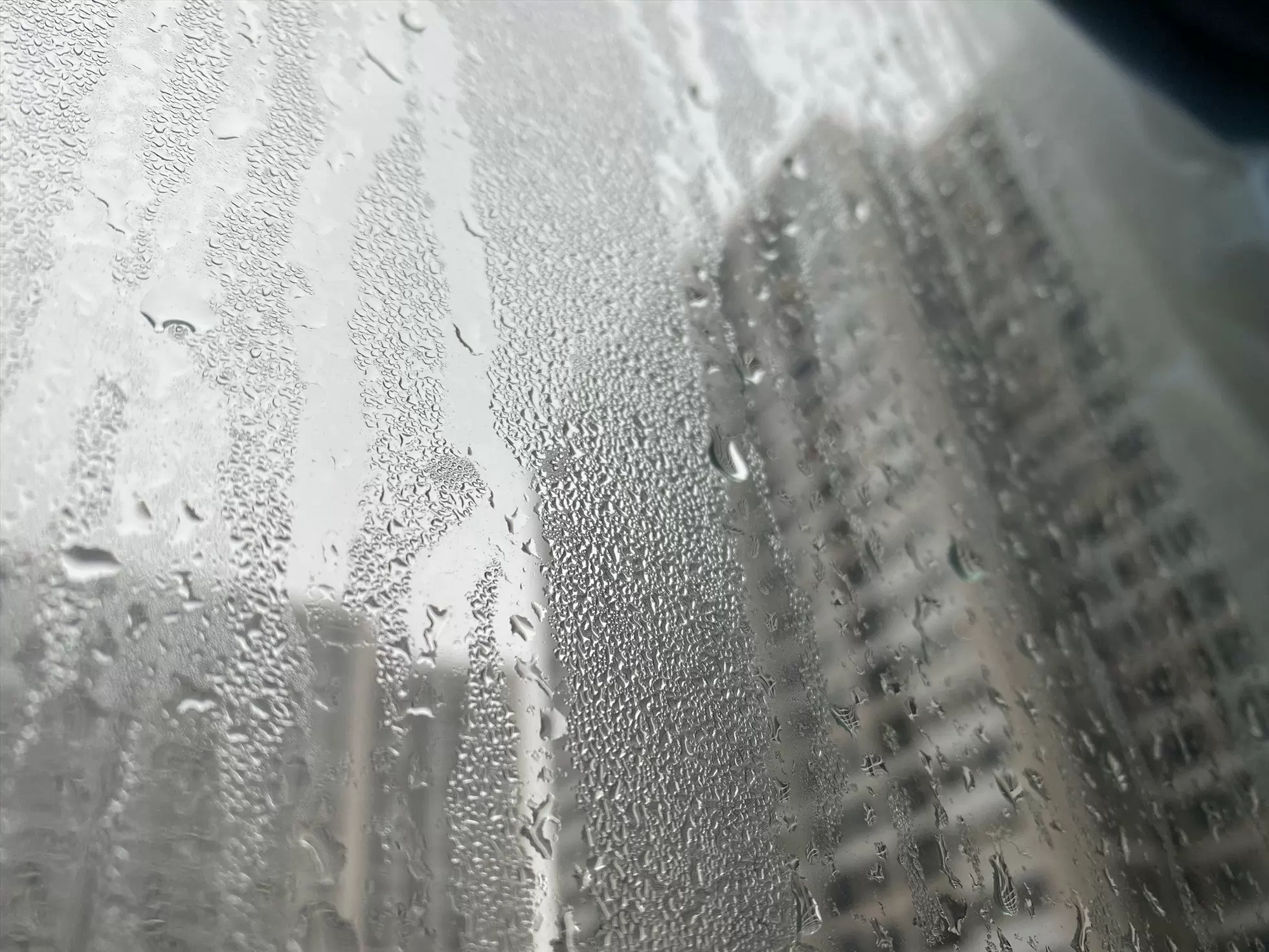 Mùa nồm là gì? Đau đầu vì tác hại của nồm ẩm với nhà ở 5 mùa nồm là gì tác hại với nhà ở