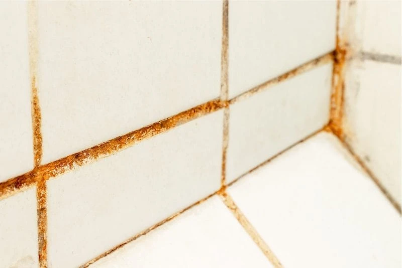 Chít mạch bằng xi măng trắng truyền thống thường xuống cấp nhanh