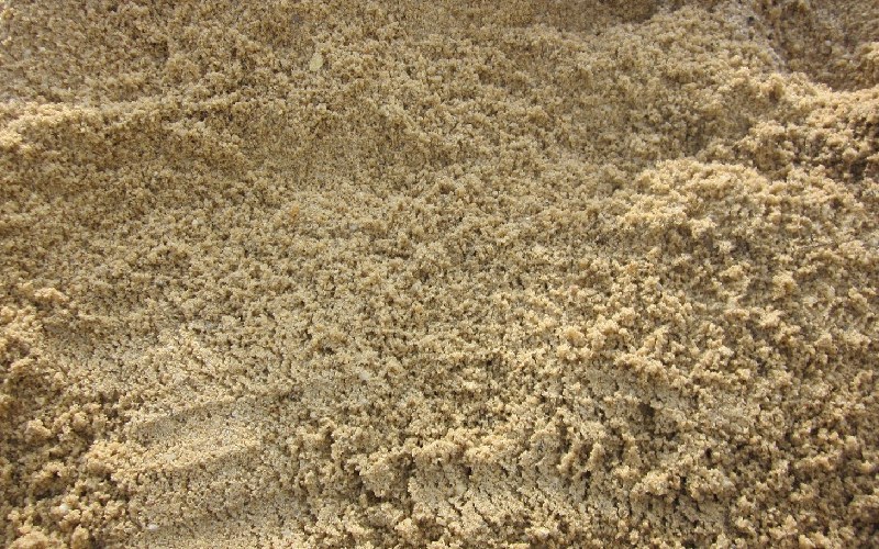 tạp chất trong cát bê tông