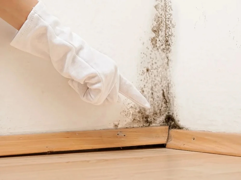 Vật liệu xây dựng có khả năng chống thấm kém, gây nồm ẩm nghiêm trọng